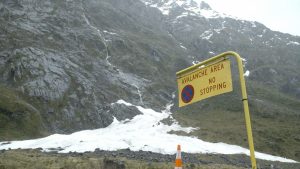 Read more about the article The Milford Road