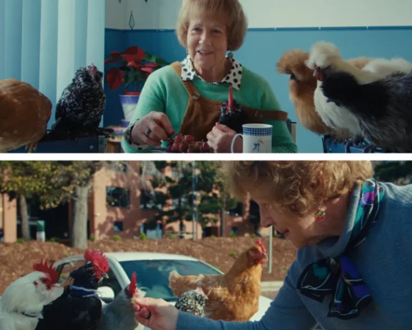 Mother of Chooks
