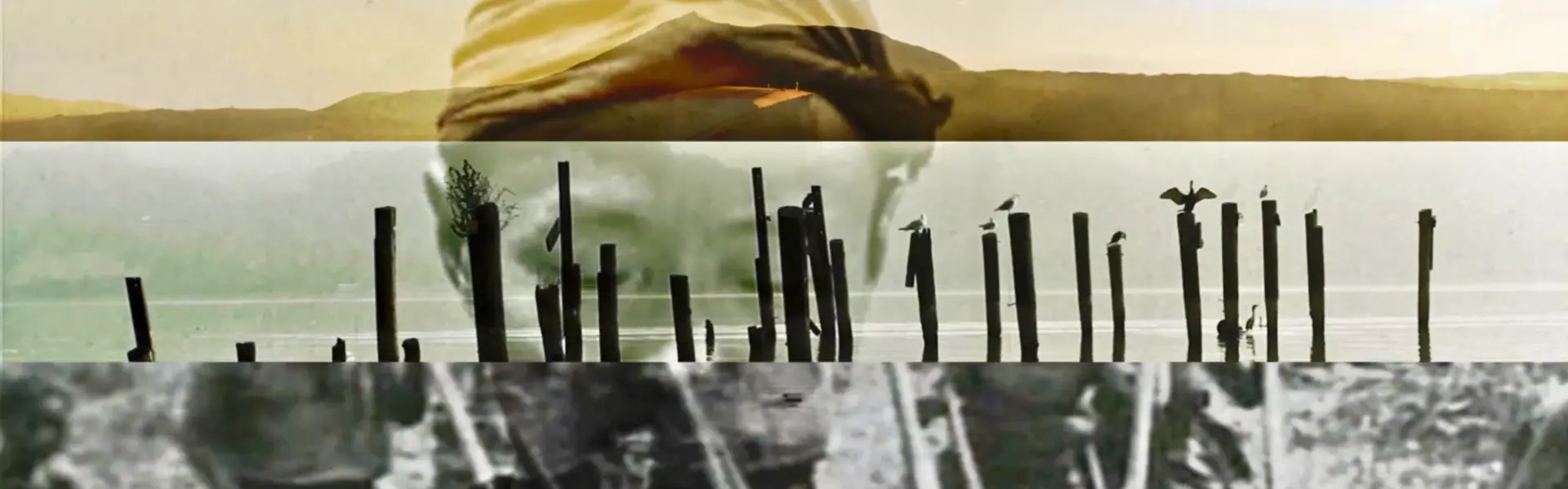 DSK anthropocene in c major