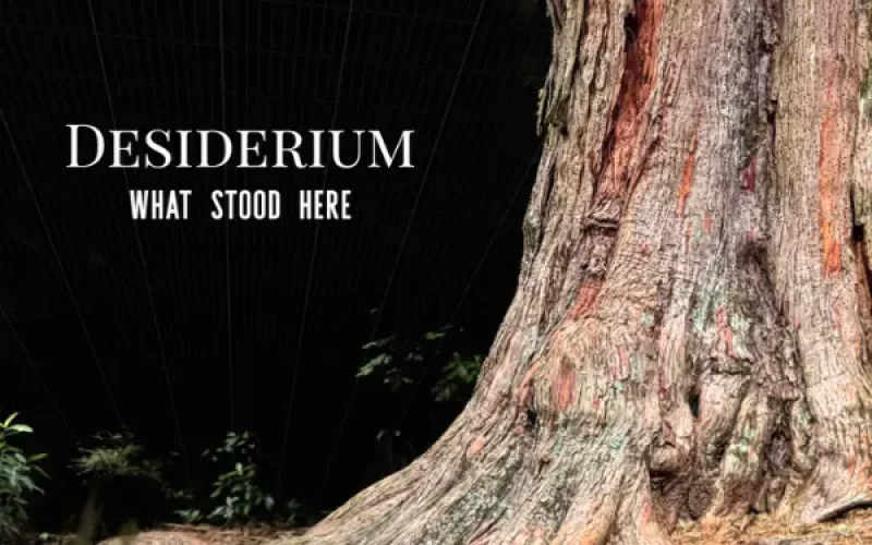GRD desiderium